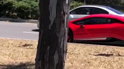 Driver crashes McLaren