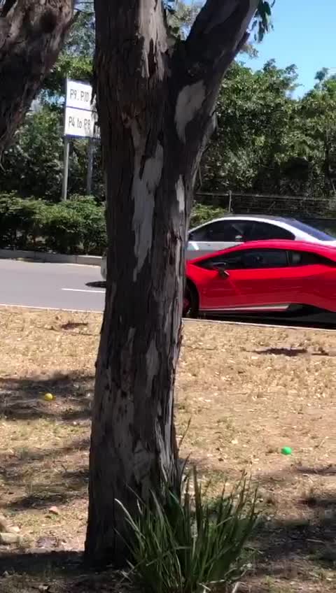 Driver crashes McLaren