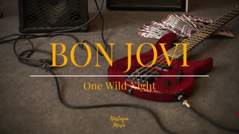 Bon Jovi - One Wild Night