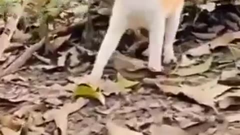 Oo 😂😂