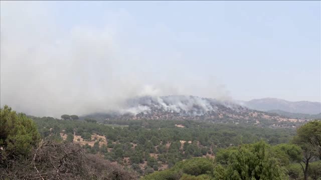 Wildfires tear through central Spanish countryside