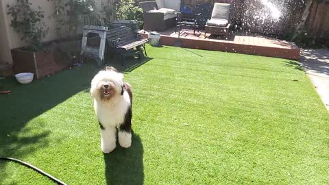 George and the hose in slow mo