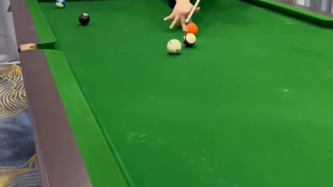 Funny Video Billiards cheating 🤣🤣🤣 comedy boy, watch till end