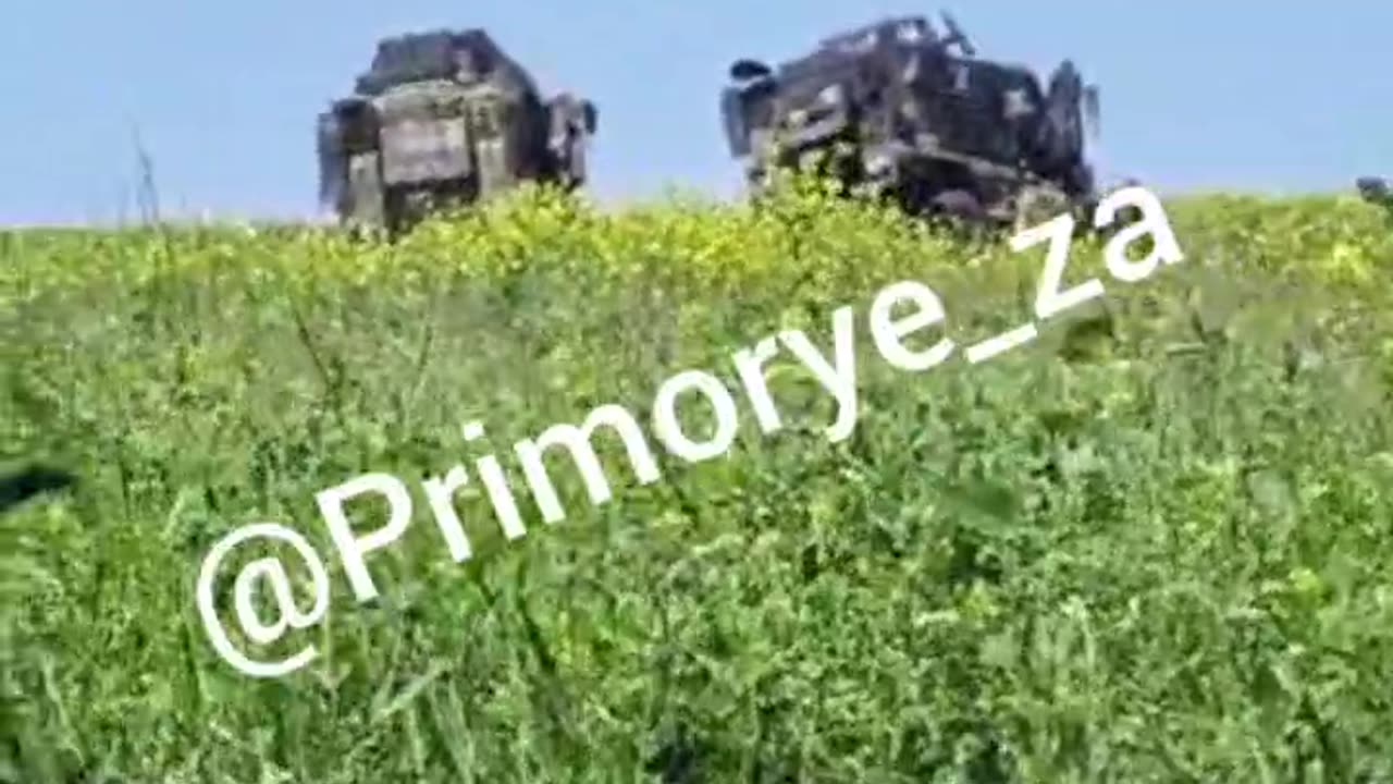 Battle Footage and Destroyed US Armored Vehicles on the Zaporozhye Front