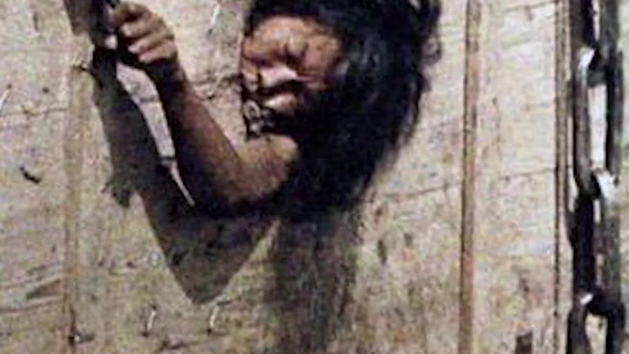 5 Historycznych Zdjęć Które MUSISZ ZOBACZYĆ!