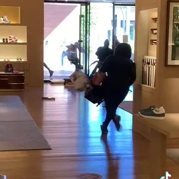 NEW ANGLE: Louis Vuitton ransacked in Los Angeles