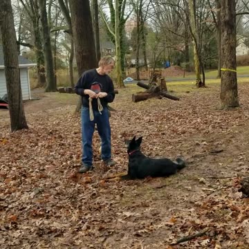 Engagement and Interaction