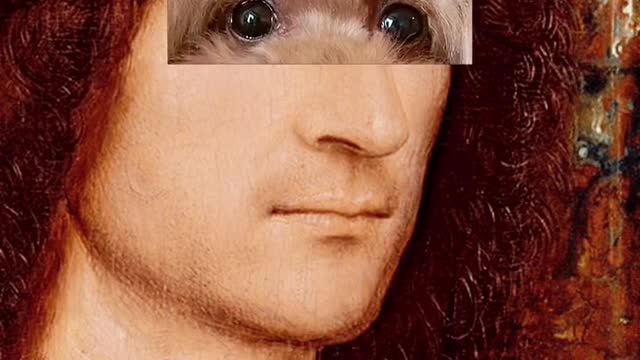 Light in the eye