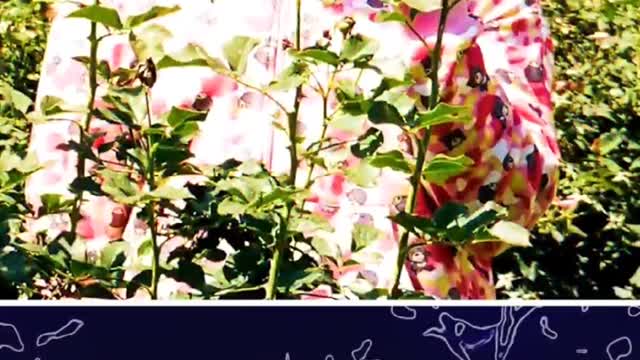 #HipHops Fallen #Rappers of 2022!