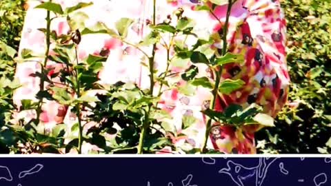 #HipHops Fallen #Rappers of 2022!