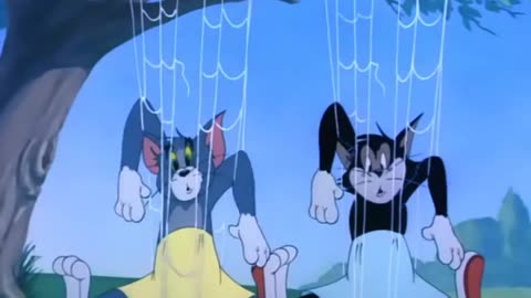 Tom & Jerry l Tom jerry carton l Tom carton