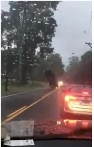 There's Some Serious Glitches Goin' On...Just Sayin'...