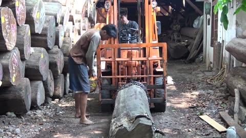 Hundreds Of Neatly Organized Logs