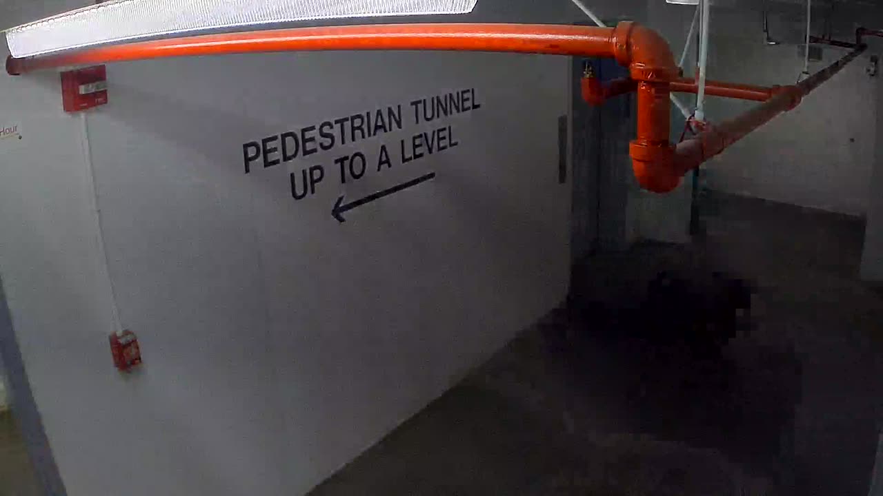 6013WHUGGELobby_2021-01-05_19h33min58s807ms.mp4