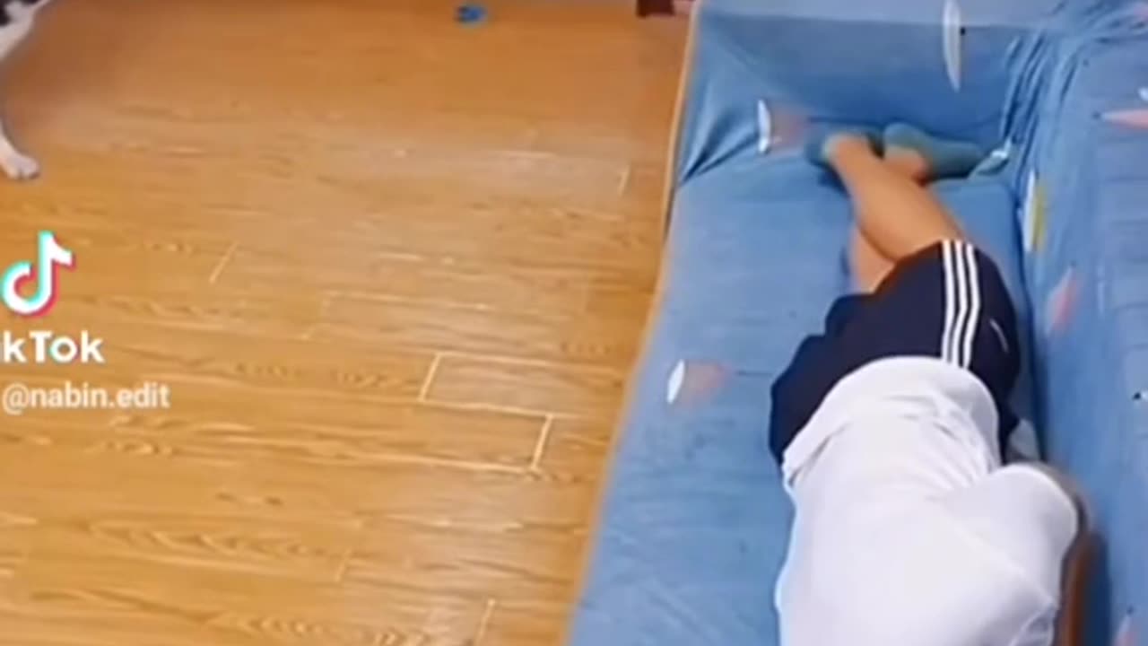 Funny_Videoš¤£