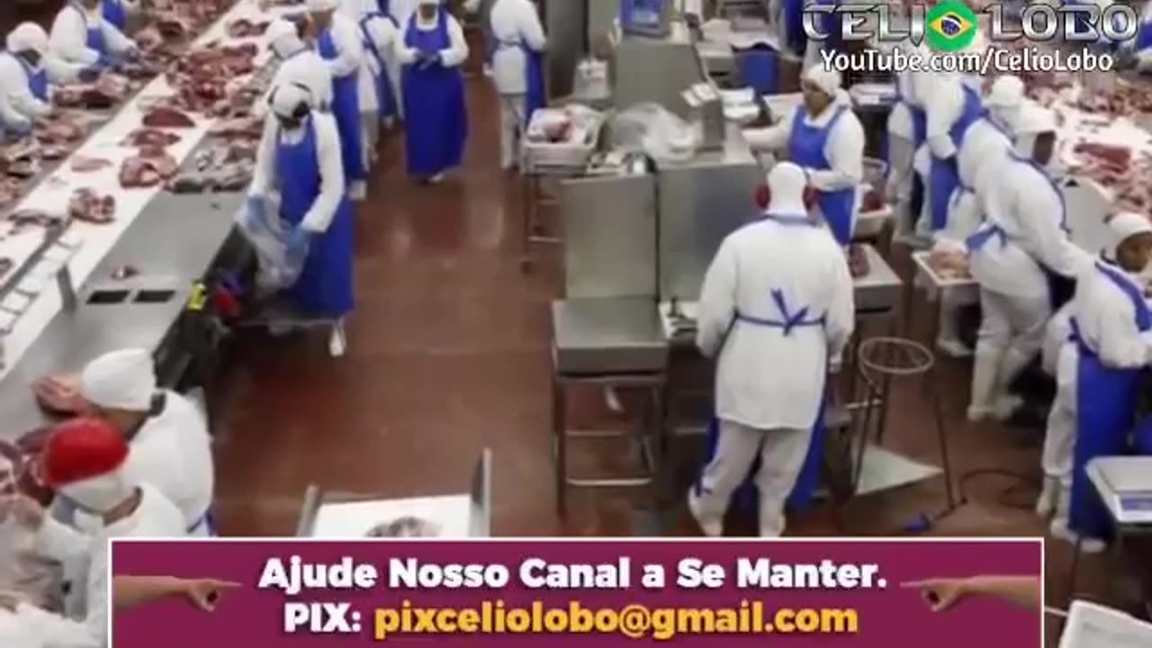Brazil country bureaucrats and social democrat.