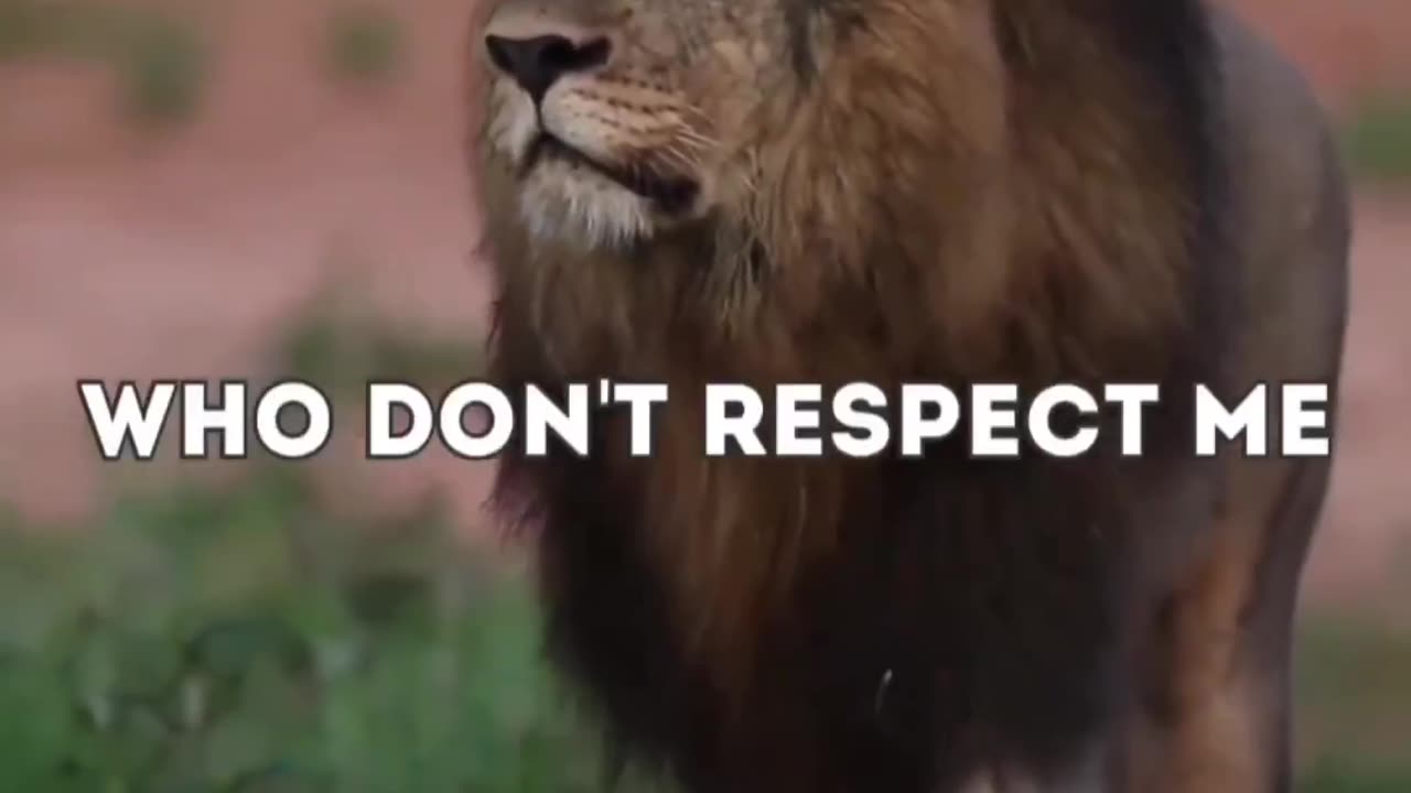 Self Respect...