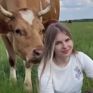 I sat to imagine, but the cow came.