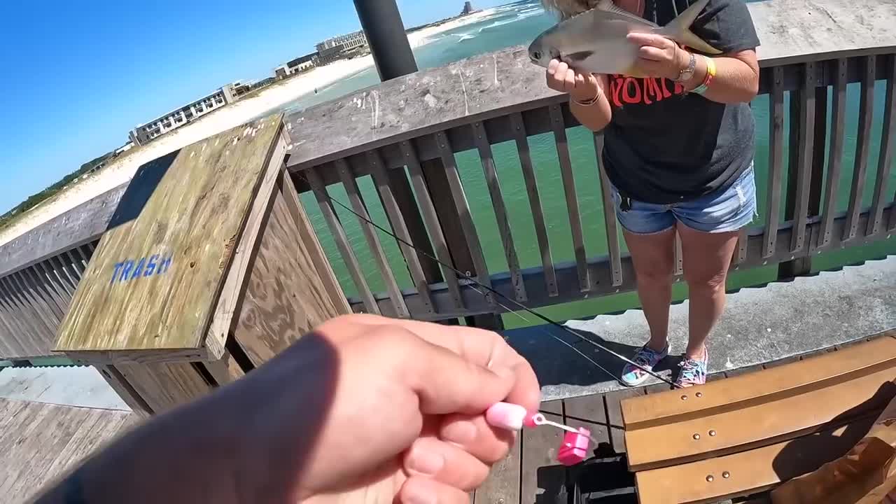 Saltwater PIER FISHING with Shrimp!