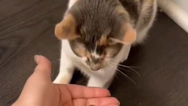 This meow has a little astigmatism