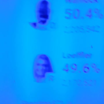 INTERNATIONAL WIDE ELECTION FRAUD VOTING MACHINE CRIME, GEORGIA RUNOFF SHAM ELECTION CRIME 248