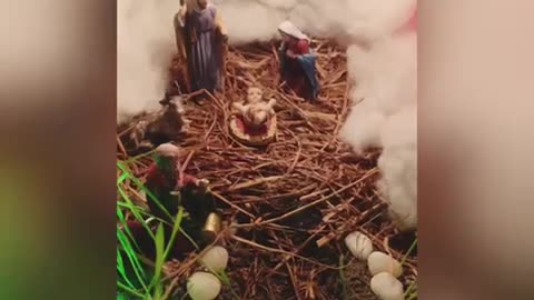 Xmas crib