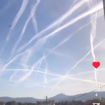 Snapshots Of The Week