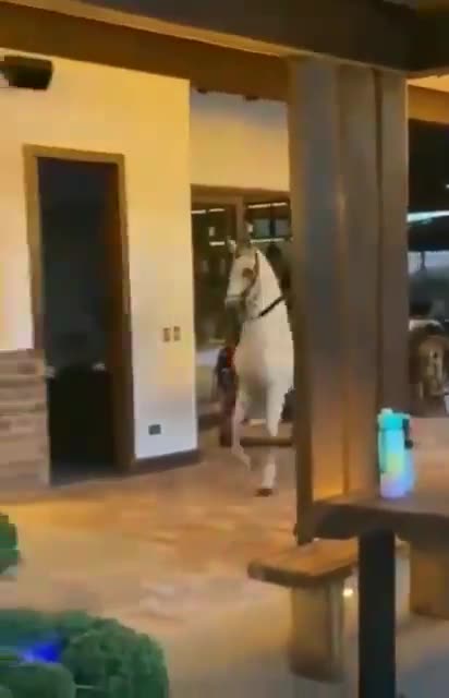 Funniest pranks you'll see today 😂🤣