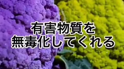 からだの毒が抜けていく食材/説明欄よりおねがいいたします