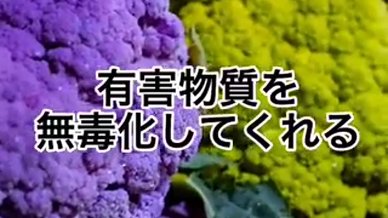 からだの毒が抜けていく食材/説明欄よりおねがいいたします