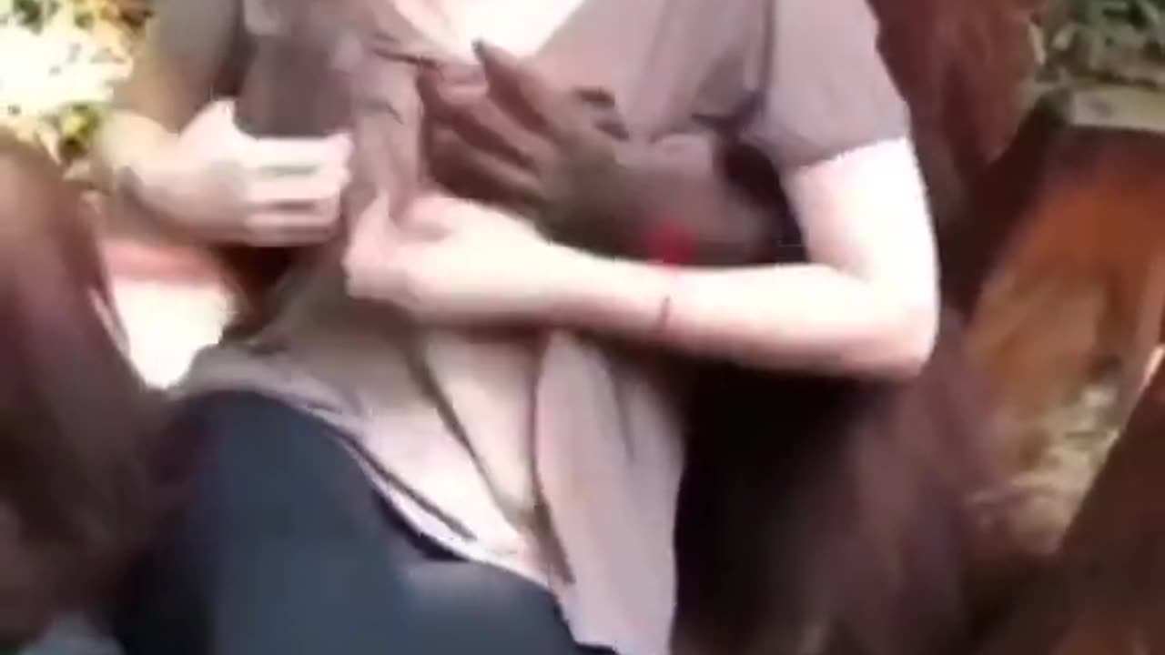 😉 Naughty chimpanzees 🐵 Touching boobs 🍊🍊 of girl funny video 😂