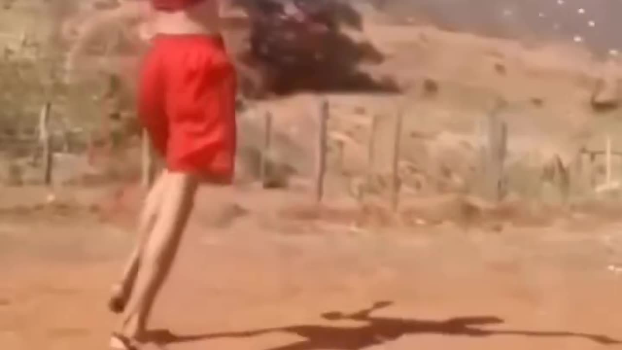 funny video
