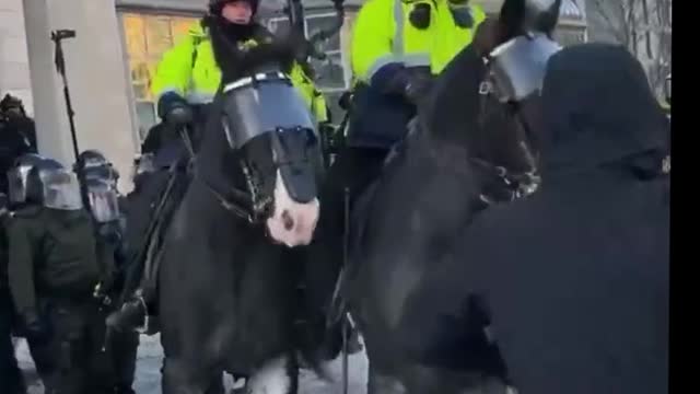 People trampled by the horses in Ottawa