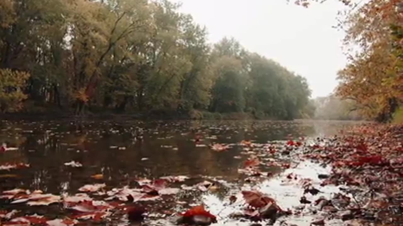 Relaxing nature clips with sounds and music