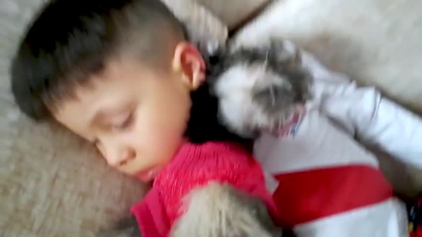 Playtime ends adorably for young boy and his new puppy