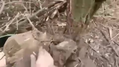 (18+ Content) Ukrainian failed attempt to breach a Russian position