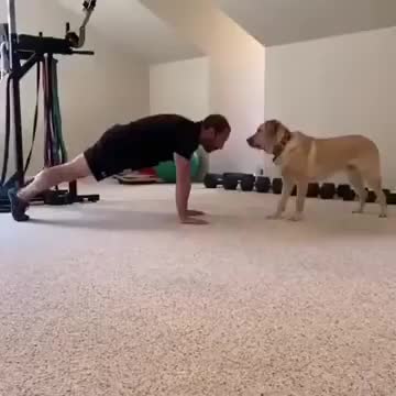 A Dog As An Exercise Partner!