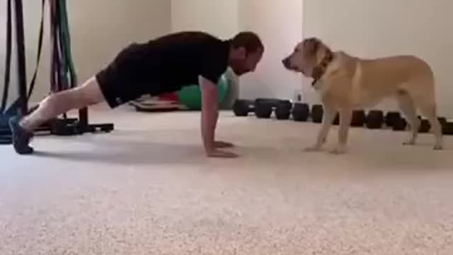 A Dog As An Exercise Partner!