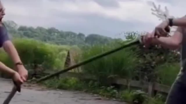 Who won this fight?🤣