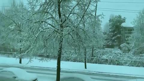 Blizzard caused cars slipping in BC