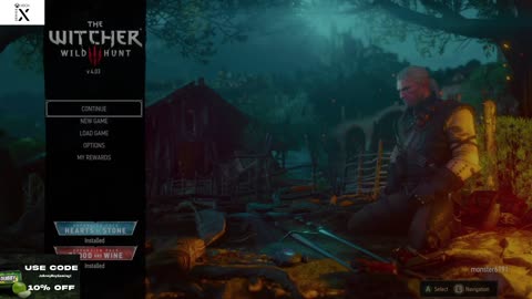 The Witcher 3 Wild Hunt Part 24