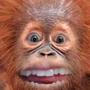 Good Morning, It's Me ;)