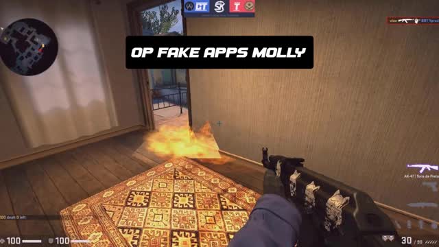 OP APPS MOLLY