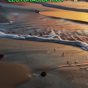 🙏✨Oración Inspirada en las Lecturas de Hoy ✨🙏