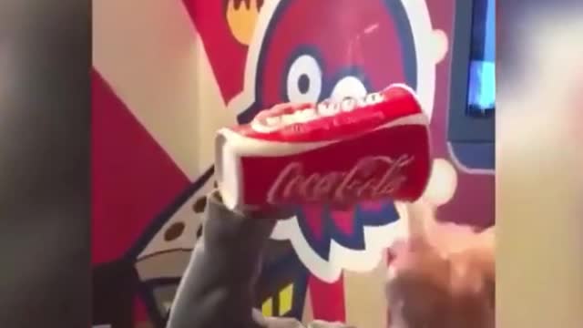 this is not a bottle