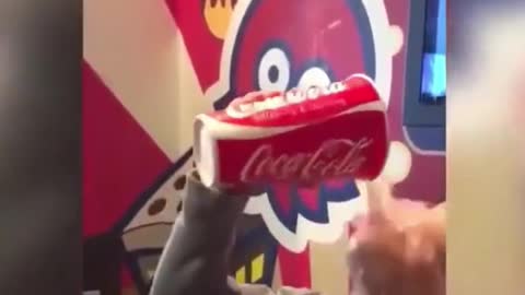 this is not a bottle