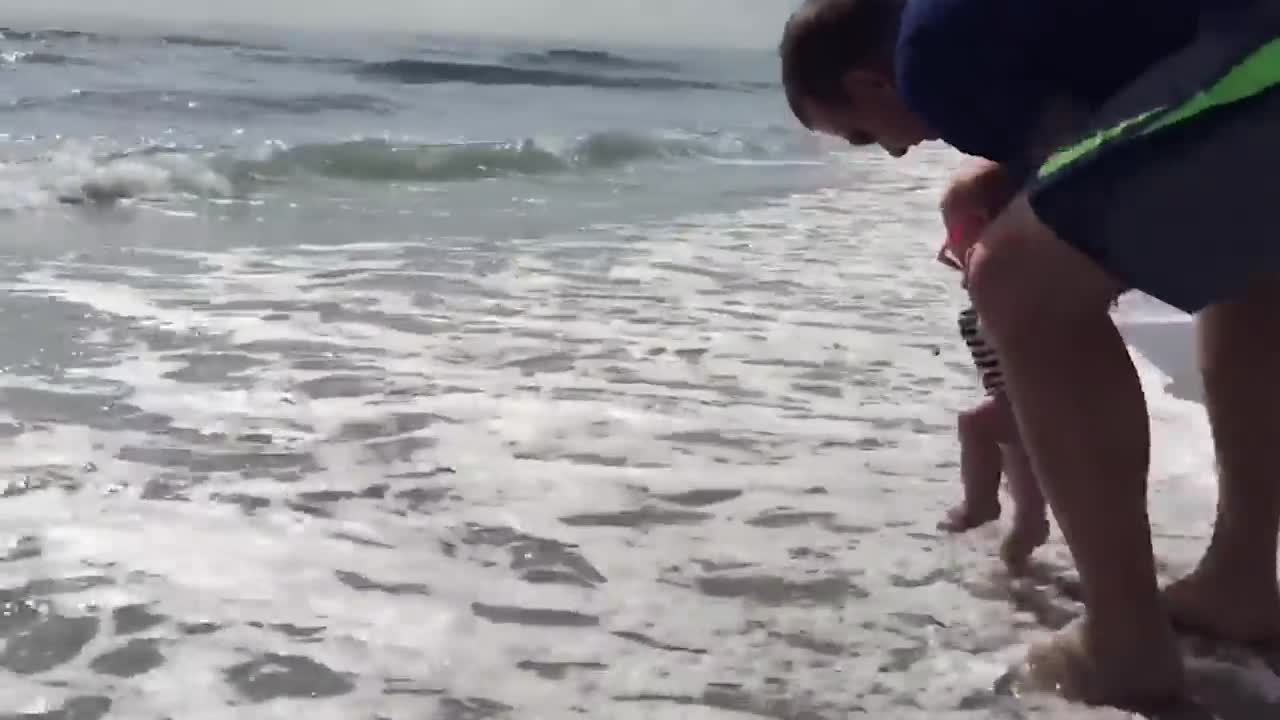 Funniest Babies on the Beach | Cute Baby Funny Moments