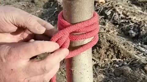 A simple knot 09