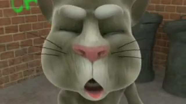 My talking Tom funny video