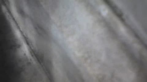 1055RSOB01EExitSWSR129AExterior_2021-01-05_01h00min00s947ms.mp4